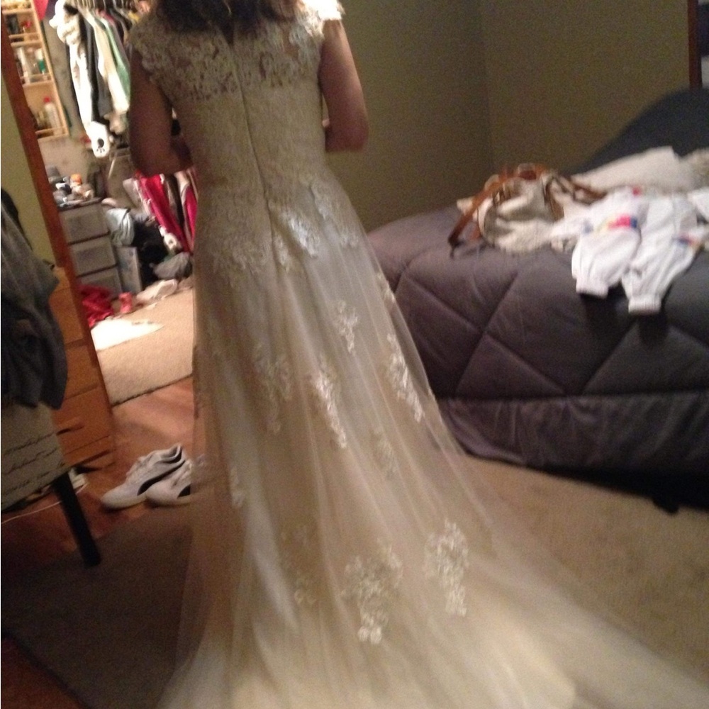 Elegant Lace Wedding Gown